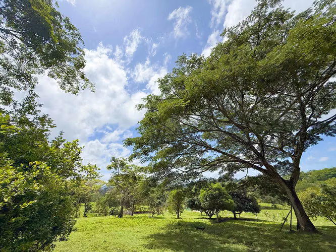 Se vende Terreno en Chomes, Puntarenas (MV). - Imagen 5