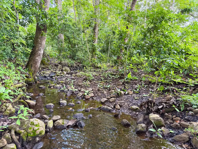 Se vende Terreno en Chomes, Puntarenas (MV). - Imagen 16