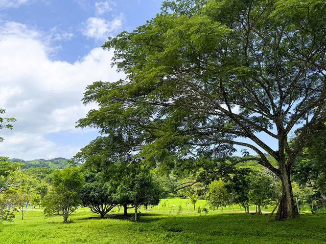Se vende Terreno en Chomes, Puntarenas (MV). - Imagen 12