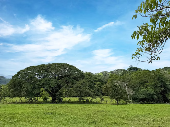 Se vende Terreno en Chomes, Puntarenas (MV). - Imagen 14