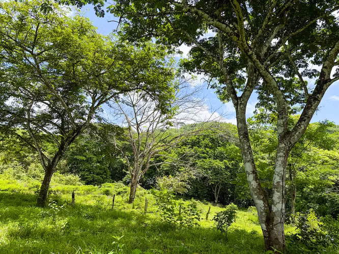 Se vende Terreno en Chomes, Puntarenas (MV). - Imagen 18