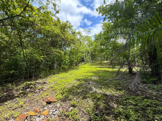 Se vende Terreno en Chomes, Puntarenas (MV). - Imagen 17