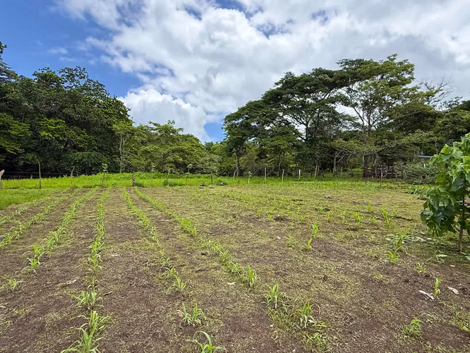 Se vende Terreno en Chomes, Puntarenas (MV). - Imagen 15