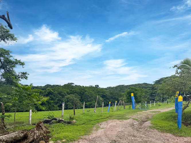 Se vende Terreno en Chomes, Puntarenas (MV). - Imagen 20