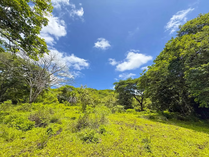 Se vende Terreno en Chomes, Puntarenas (MV). - Imagen 19