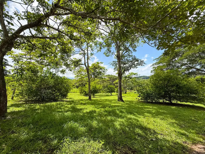 Se vende Terreno en Chomes, Puntarenas (MV). - Imagen 6