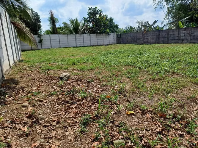 Lote Comercial en Guácimo – ¡Ubicación Estratégica! - Imagen 5