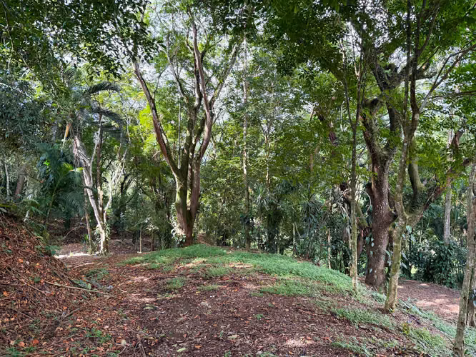 Se vende Terreno en Jacó, Garabito, Puntarenas (MV).