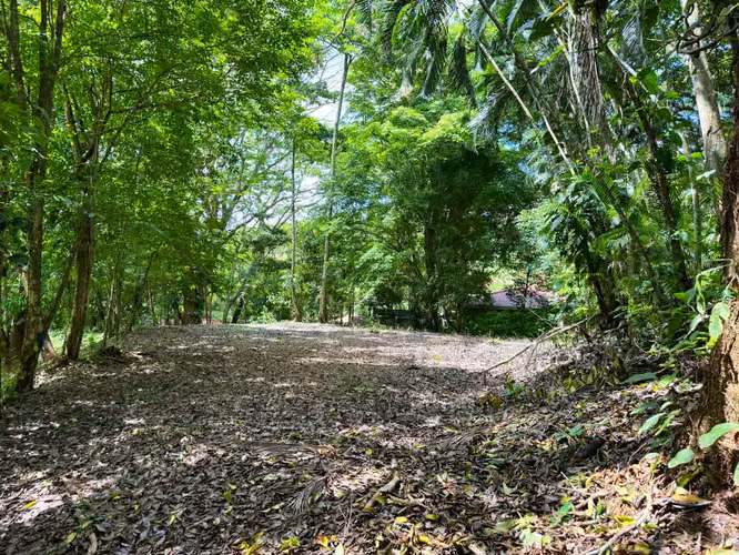Se vende Terreno en Jacó, Garabito, Puntarenas (MV).