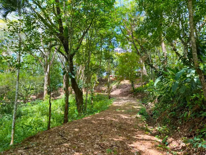Se vende Terreno en Jacó, Garabito, Puntarenas (MV).