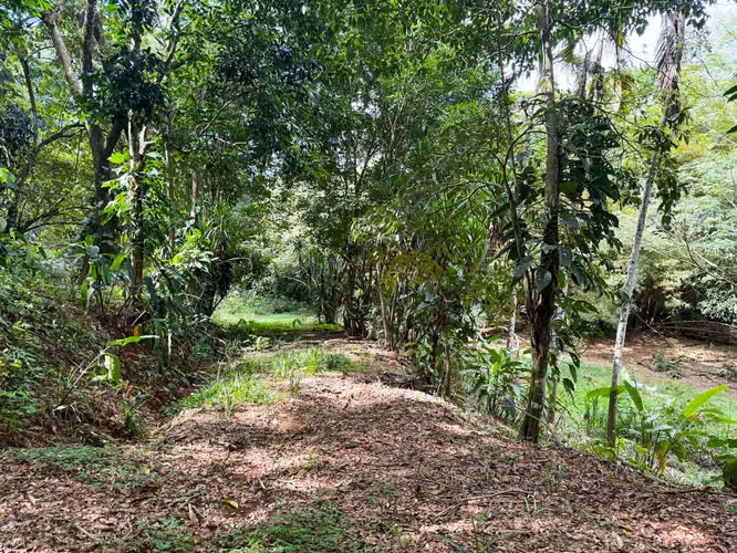 Se vende Terreno en Jacó, Garabito, Puntarenas (MV).