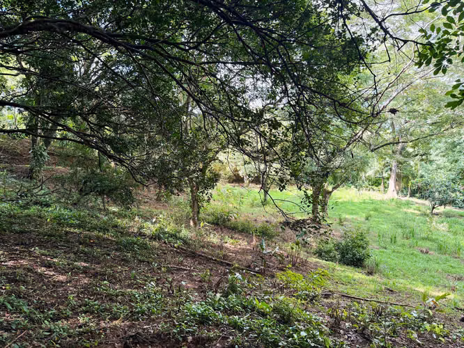 Se vende Terreno en Jacó, Garabito, Puntarenas (MV).