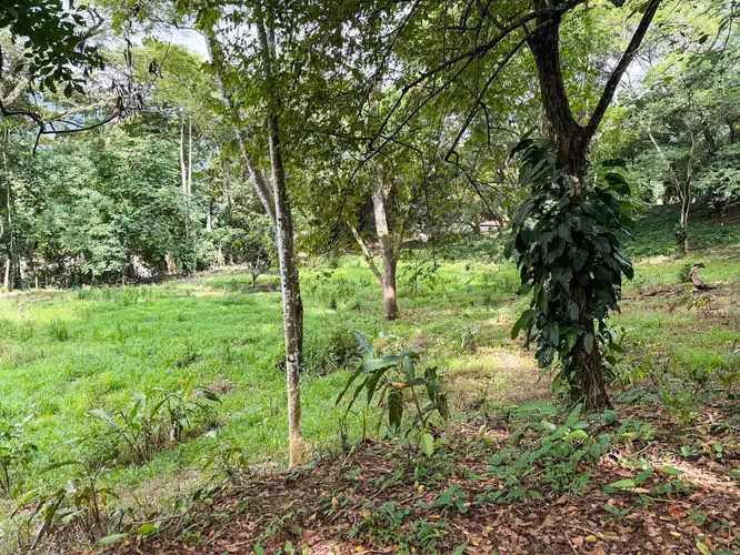 Se vende Terreno en Jacó, Garabito, Puntarenas (MV).