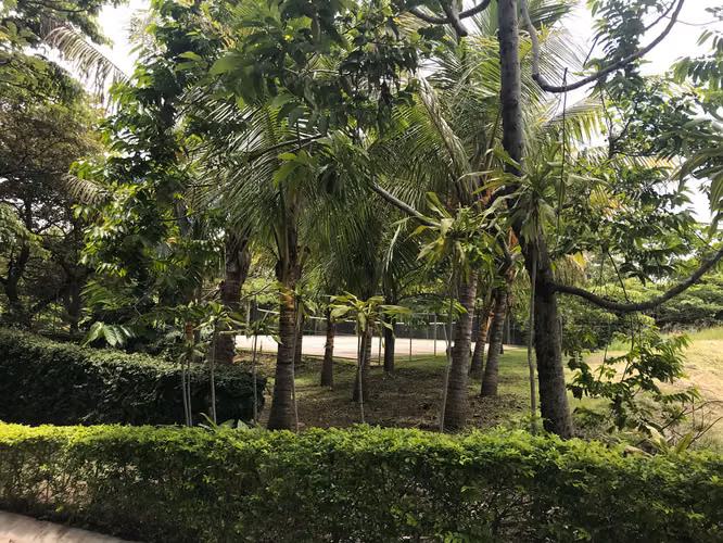 VENTA DE CASA DE UNA PLANTA EN CONDOMINIO-PIEDADES, SANTA ANA