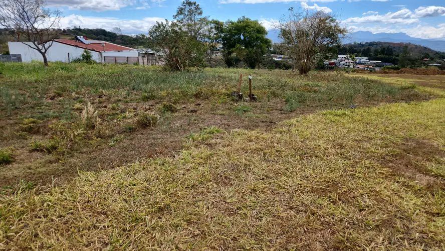Terreno en Venta en Grecia, Alajuela ID 24056 - Imagen 8