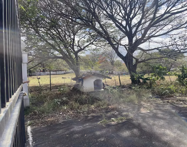 VENTA DE LOTE POR BOSQUES DE DOÑA ROSA Y EL AIS INVERSIONISTAS - Imagen 17
