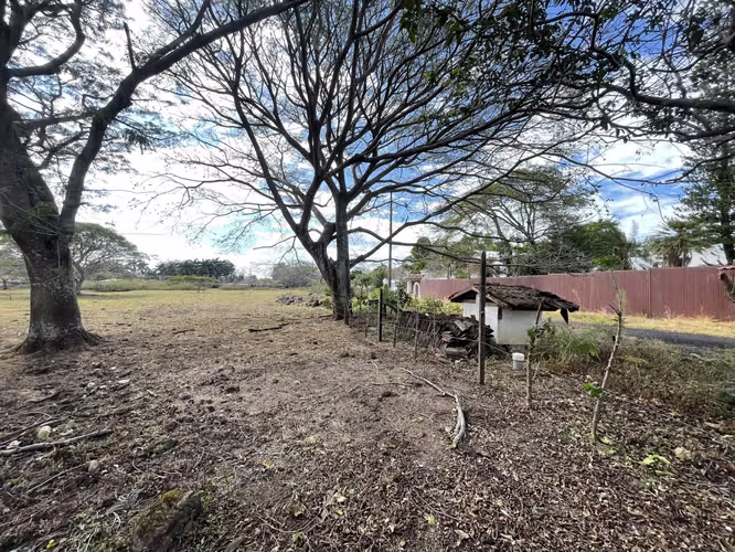 VENTA DE LOTE POR BOSQUES DE DOÑA ROSA Y EL AIS INVERSIONISTAS - Imagen 13