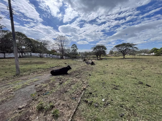 VENTA DE LOTE POR BOSQUES DE DOÑA ROSA Y EL AIS INVERSIONISTAS - Imagen 2