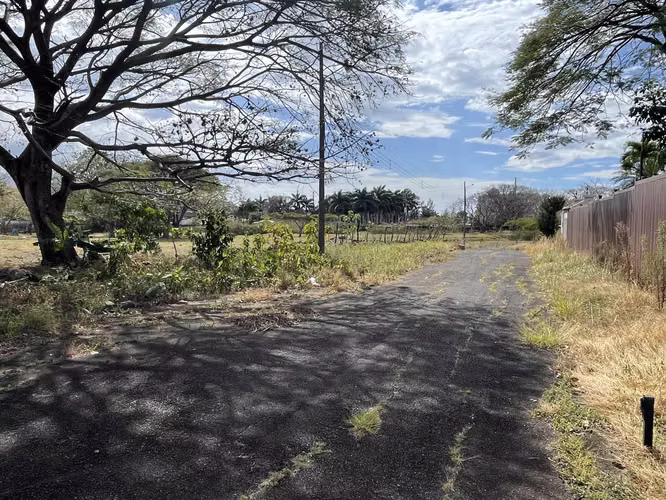 VENTA DE LOTE POR BOSQUES DE DOÑA ROSA Y EL AIS INVERSIONISTAS - Imagen 19