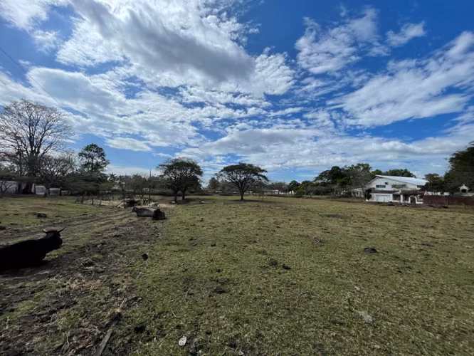 VENTA DE LOTE POR BOSQUES DE DOÑA ROSA Y EL AIS INVERSIONISTAS - Imagen 8