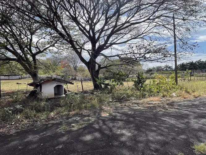 VENTA DE LOTE POR BOSQUES DE DOÑA ROSA Y EL AIS INVERSIONISTAS - Imagen 20