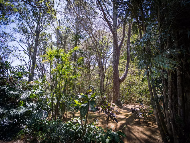LOTES EN VENTA EN CONDOMINIO CON INCREÍBLES VISTAS EN SANTA ANA