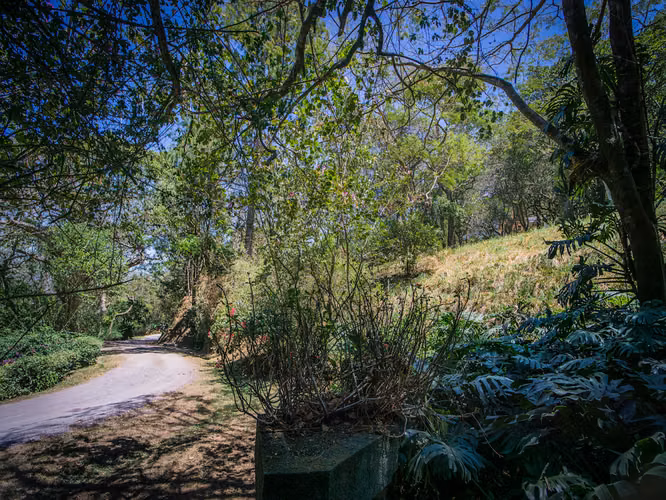 LOTES EN VENTA EN CONDOMINIO CON INCREÍBLES VISTAS EN SANTA ANA