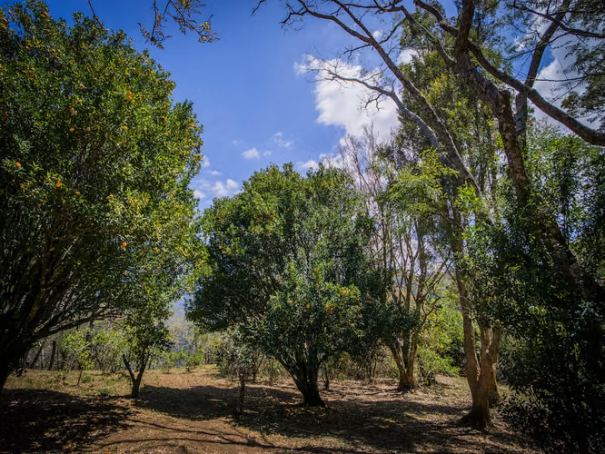 LOTES EN VENTA EN CONDOMINIO CON INCREÍBLES VISTAS EN SANTA ANA