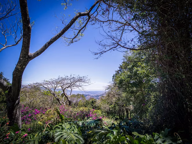 LOTES EN VENTA EN CONDOMINIO CON INCREÍBLES VISTAS EN SANTA ANA