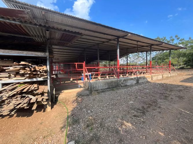 finca en venta ideal para ganaderia en katira guatuso - Imagen 20