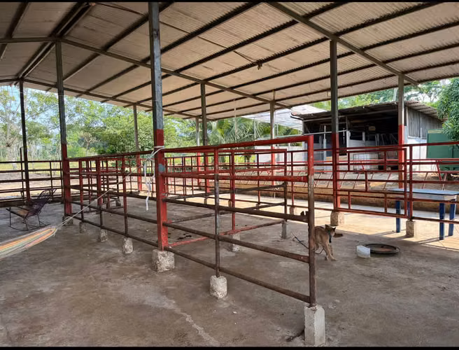finca en venta ideal para ganaderia en katira guatuso - Imagen 2