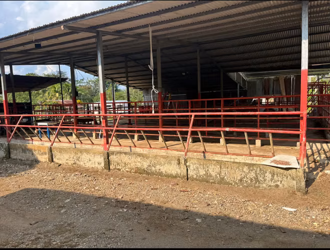 finca en venta ideal para ganaderia en katira guatuso - Imagen 10