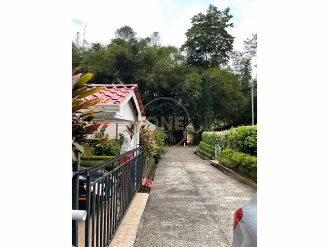 Maravilloso hogar con vistas escénicas al bosque