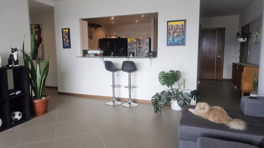VAPES – 4077 ESCAZU, SAN RAFAEL PRECIOSO APARTAMENTO