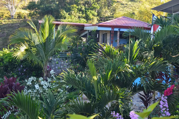 Propiedad en venta con Vistas al Valle del General – Ideal para Vivir o Invertir - Imagen 3
