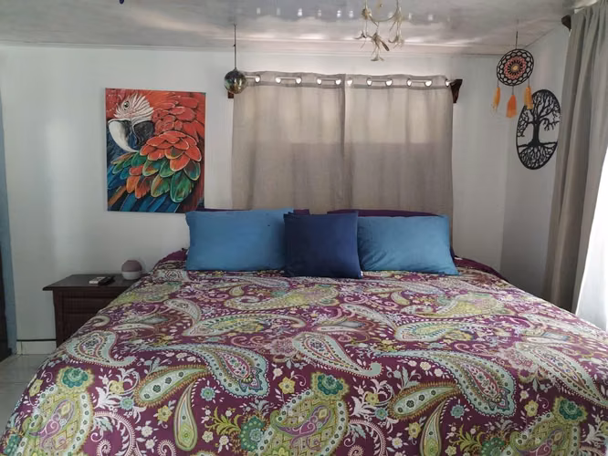 Propiedad en venta con Vistas al Valle del General – Ideal para Vivir o Invertir - Imagen 13