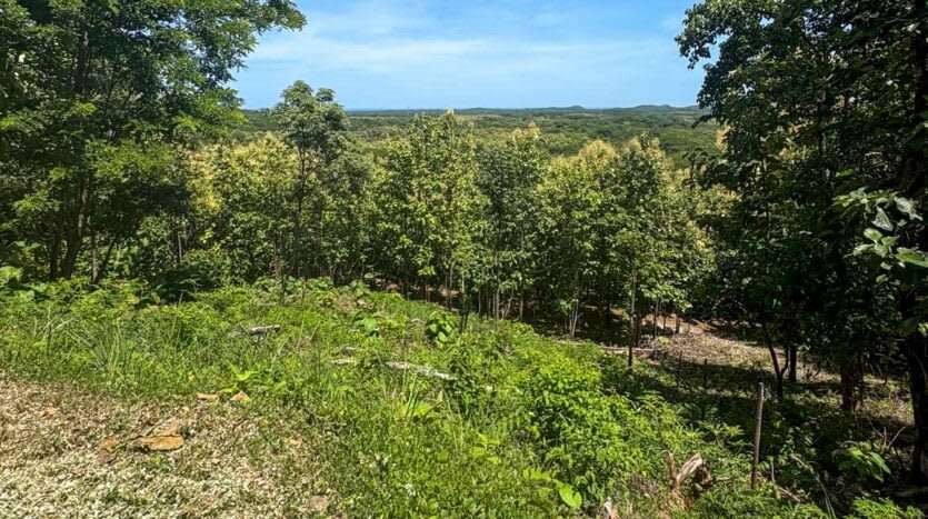 Venta de espectacular lote con vista Hacienda Pinilla - Imagen 9