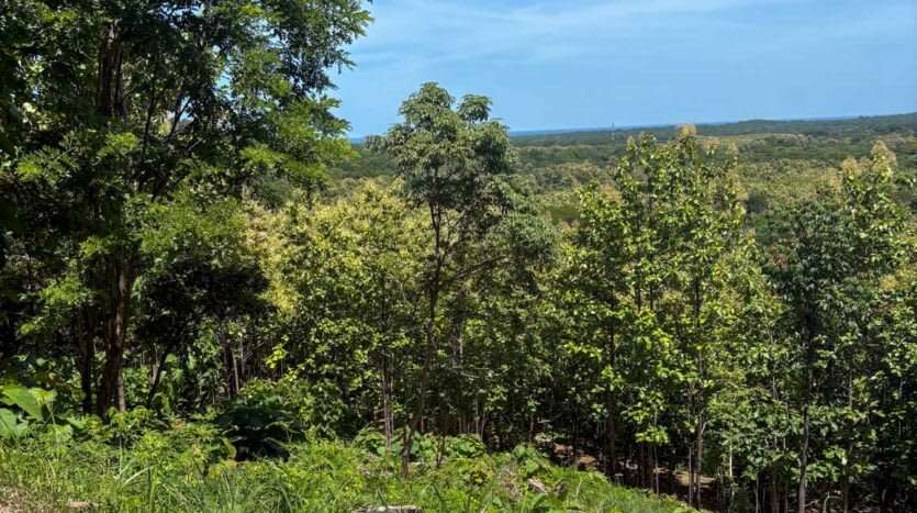 Venta de espectacular lote con vista Hacienda Pinilla - Imagen 5