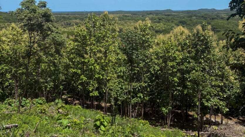 Venta de espectacular lote con vista Hacienda Pinilla - Imagen 3