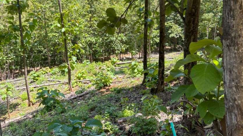 Venta de espectacular lote con vista Hacienda Pinilla - Imagen 11