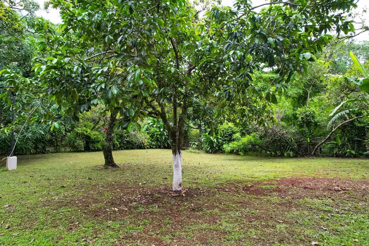 Se vende quinta en Jesús María de San Mateo, Alajuela (FE). - Imagen 4