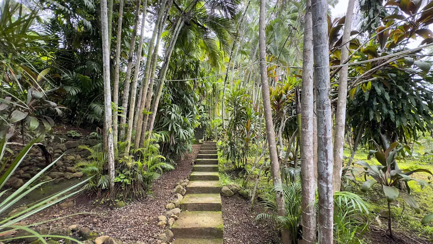 Se vende quinta en Jesús María de San Mateo, Alajuela (FE). - Imagen 10