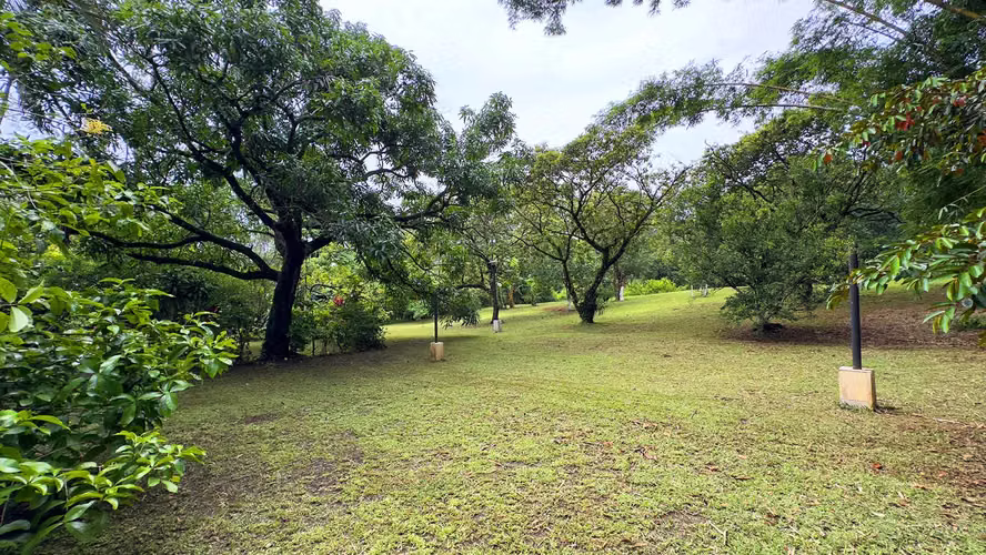 Se vende quinta en Jesús María de San Mateo, Alajuela (FE). - Imagen 6