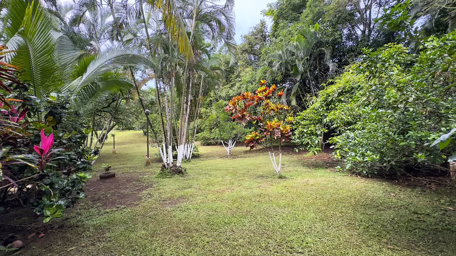 Se vende quinta en Jesús María de San Mateo, Alajuela (FE). - Imagen 8