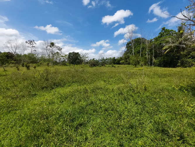 Terreno en Venta en Chachagua - Imagen 3