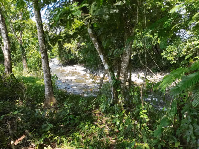 Terreno en Venta en Chachagua - Imagen 2