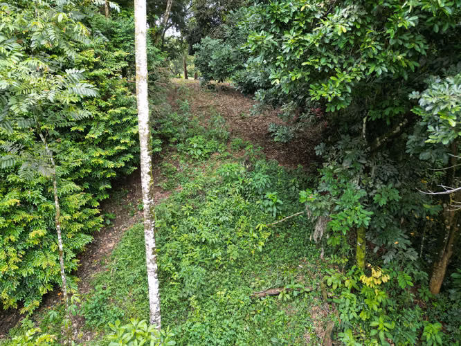 Terreno en Venta – 2.673m² en Peñas Blancas, San Ramón - Imagen 3