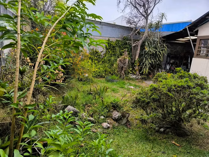 Terreno en Coronado centro ideal para negocio o vivienda - Imagen 4