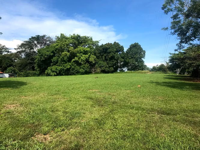 Amplio lote a la venta en Labrador San Mateo - Imagen 2