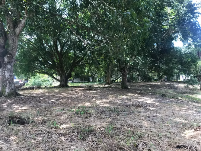 Amplio lote a la venta en Labrador San Mateo - Imagen 4